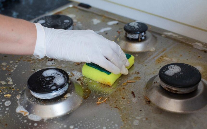 domestic-female-hand-wearing-gloves-cleaning-dirty-stove-after-cooking-using-sponge-washing-woman-housewife-enjoying-daily-household-closeup-top-view (1) domestic-female-hand-wearing-gloves-cleaning-dirty-stove-after-cooking-using-sponge-washing-woman-housewife-enjoying-daily-household-closeup-top-view (1)